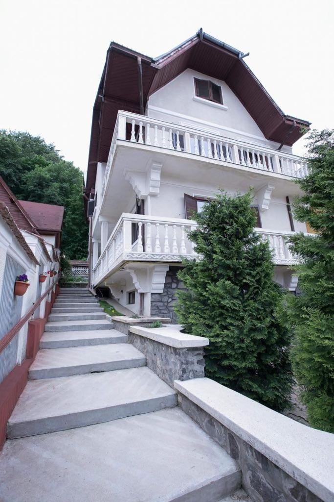 Vila Zeno Μπρασόβ Εξωτερικό φωτογραφία